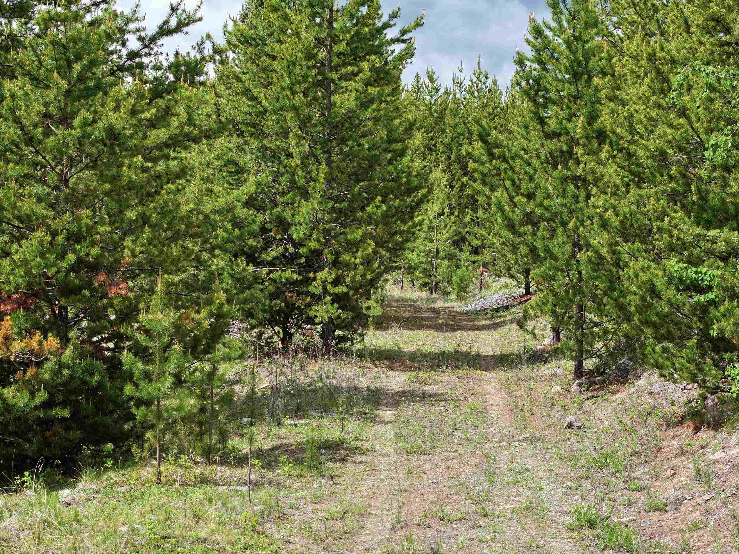 Lot for sale in Lone Butte, 100 Mile House, Lot 5 93 Mile Loop Road, 263034248 | Realtylink.org