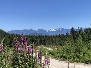 Lot for sale in Gibsons, Sunshine Coast, Lot D Elphinstone Crossing, 263034445 | Realtylink.org