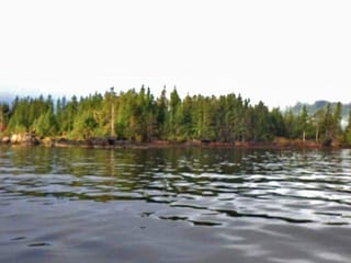 Lot for sale in Port Clements, Prince Rupert, Kwaikans Island, 263034474 | Realtylink.org