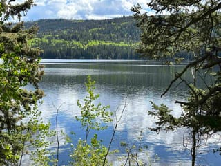 Lot for sale in Bridge Lake, 100 Mile House, 8680 Eagan Lake Road, 263034940 | Realtylink.org