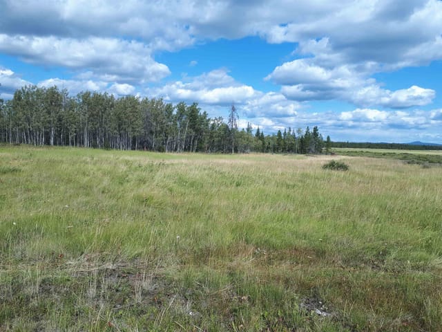 Lot for sale in Chilcotin, Williams Lake, Dl 1771 Puntzi Lake Road, 263036941 | Realtylink.org