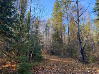 Lot for sale in Valemount, Robson Valley, DL 7363 Cranberry Lake Road, 263038567 | Realtylink.org