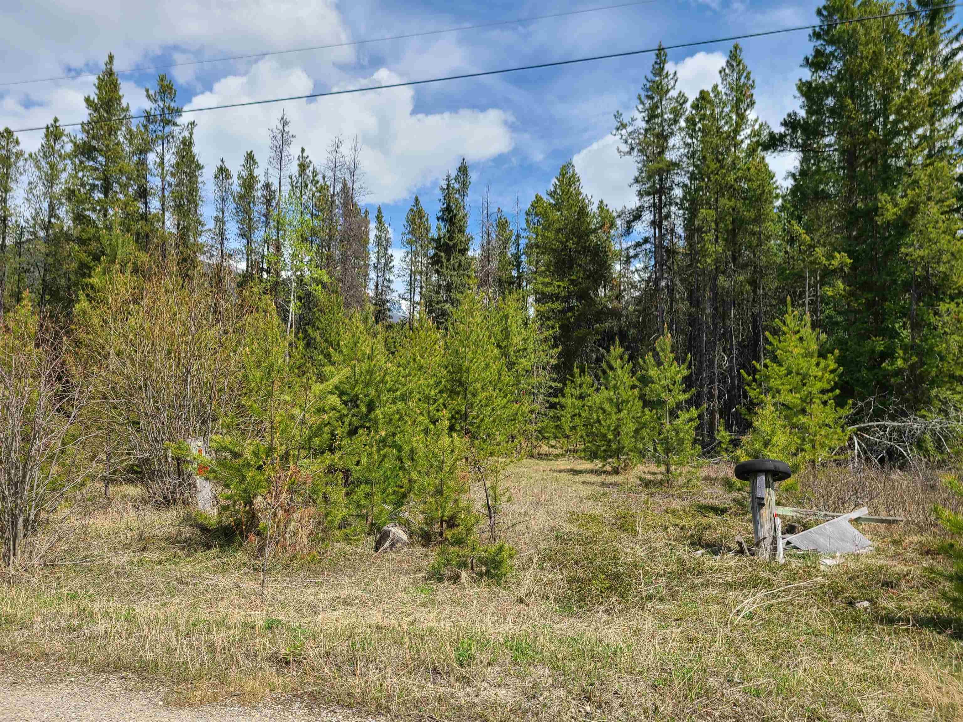 Lot for sale in Valemount, Robson Valley, 2300 Main Street, 263039548 | Realtylink.org