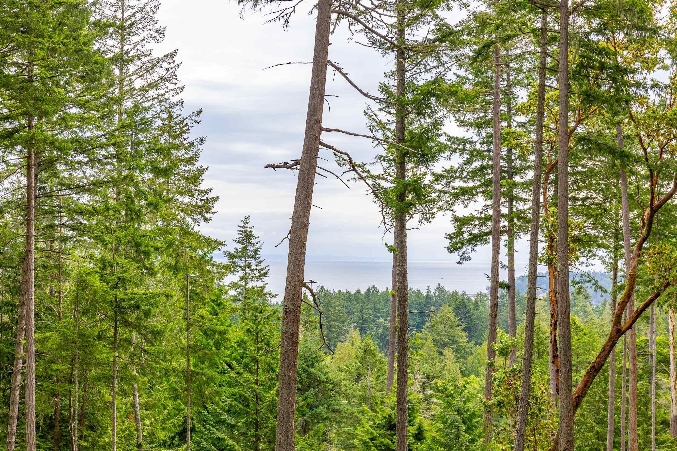 Lot for sale in Galiano Island, Islands-Van. & Gulf, 2-861 E Bluff Road, 263039716 | Realtylink.org