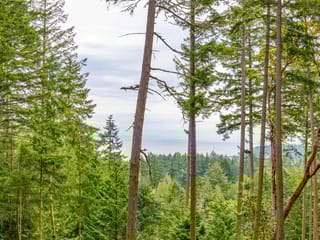 Lot for sale in Galiano Island, Islands-Van. & Gulf, 2-861 E Bluff Road, 263039716 | Realtylink.org