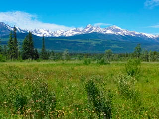 Lot for sale in Valemount, Robson Valley, Lot 3 O'dwyer Road, 263040085 | Realtylink.org