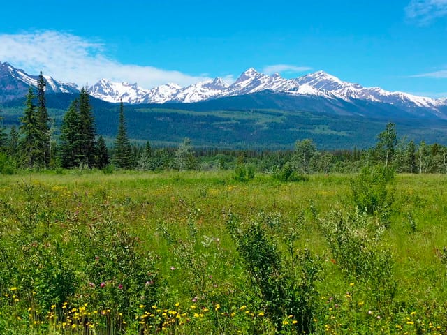Lot for sale in Valemount, Robson Valley, Lot 3 O'dwyer Road, 263040085 | Realtylink.org