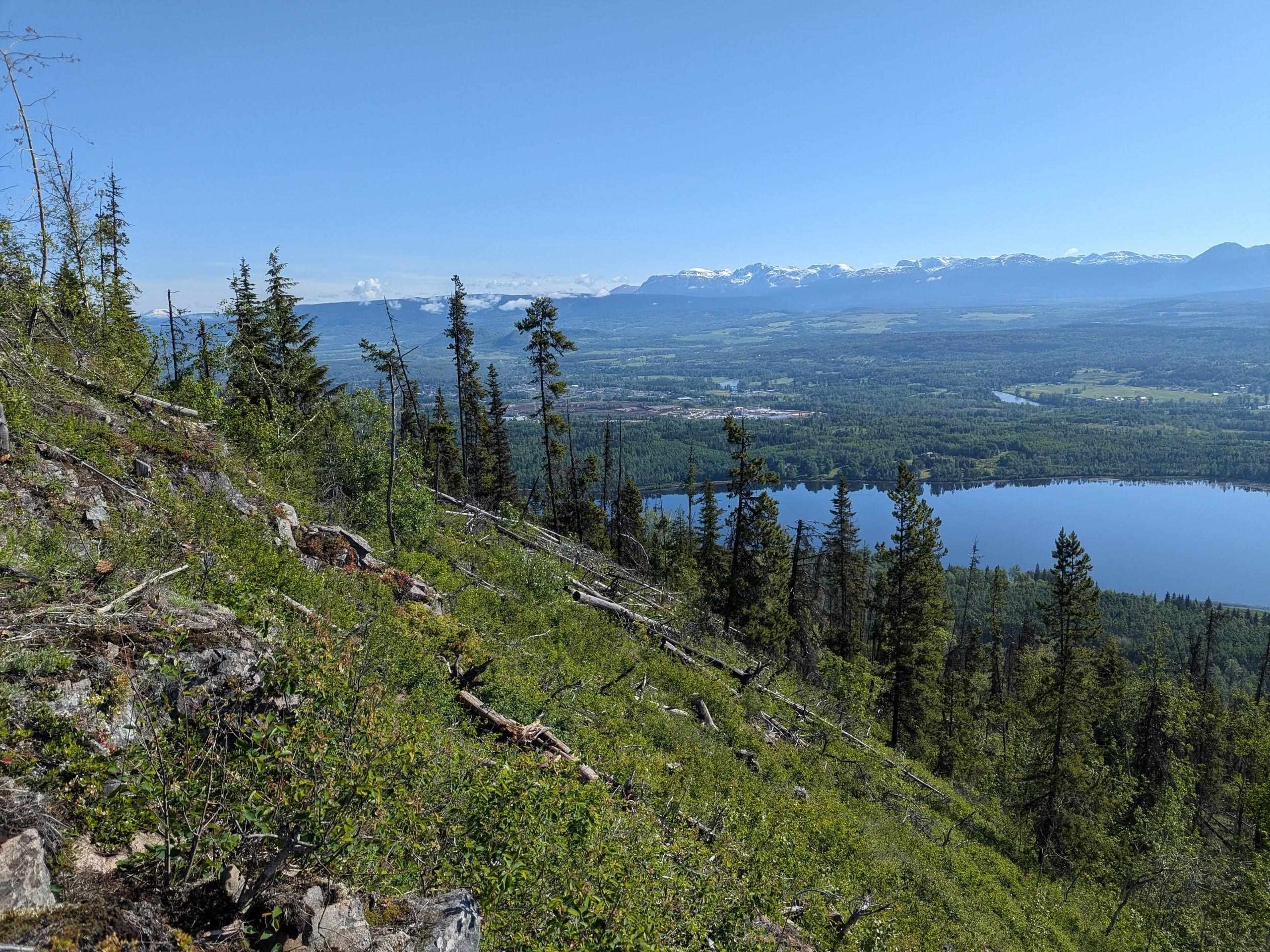 Lot for sale in Smithers, Smithers And Area, LOT 6 Hudson Bay Mountain Road, 263040106 | Realtylink.org