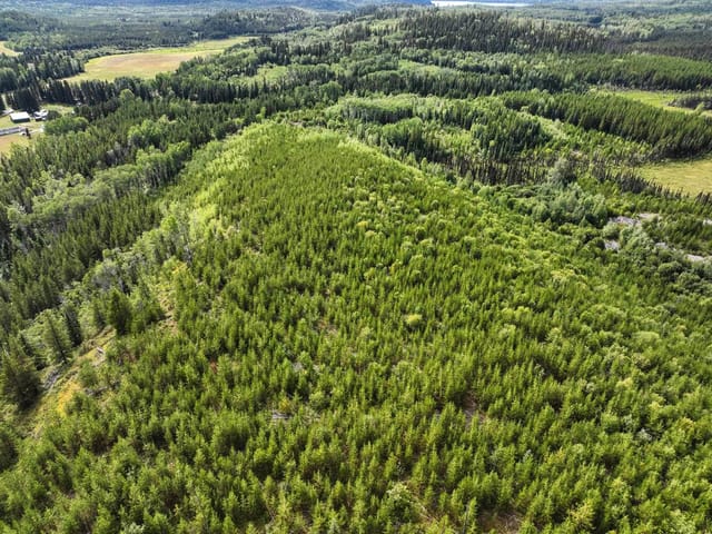 Lot for sale in Prince George, PG Rural North, Lot 4 Saxton Lake Road, 263040338 | Realtylink.org