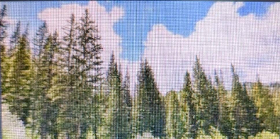 Lot for sale in Quesnel, Quesnel, Terrace Road, 263048695 | Realtylink.org