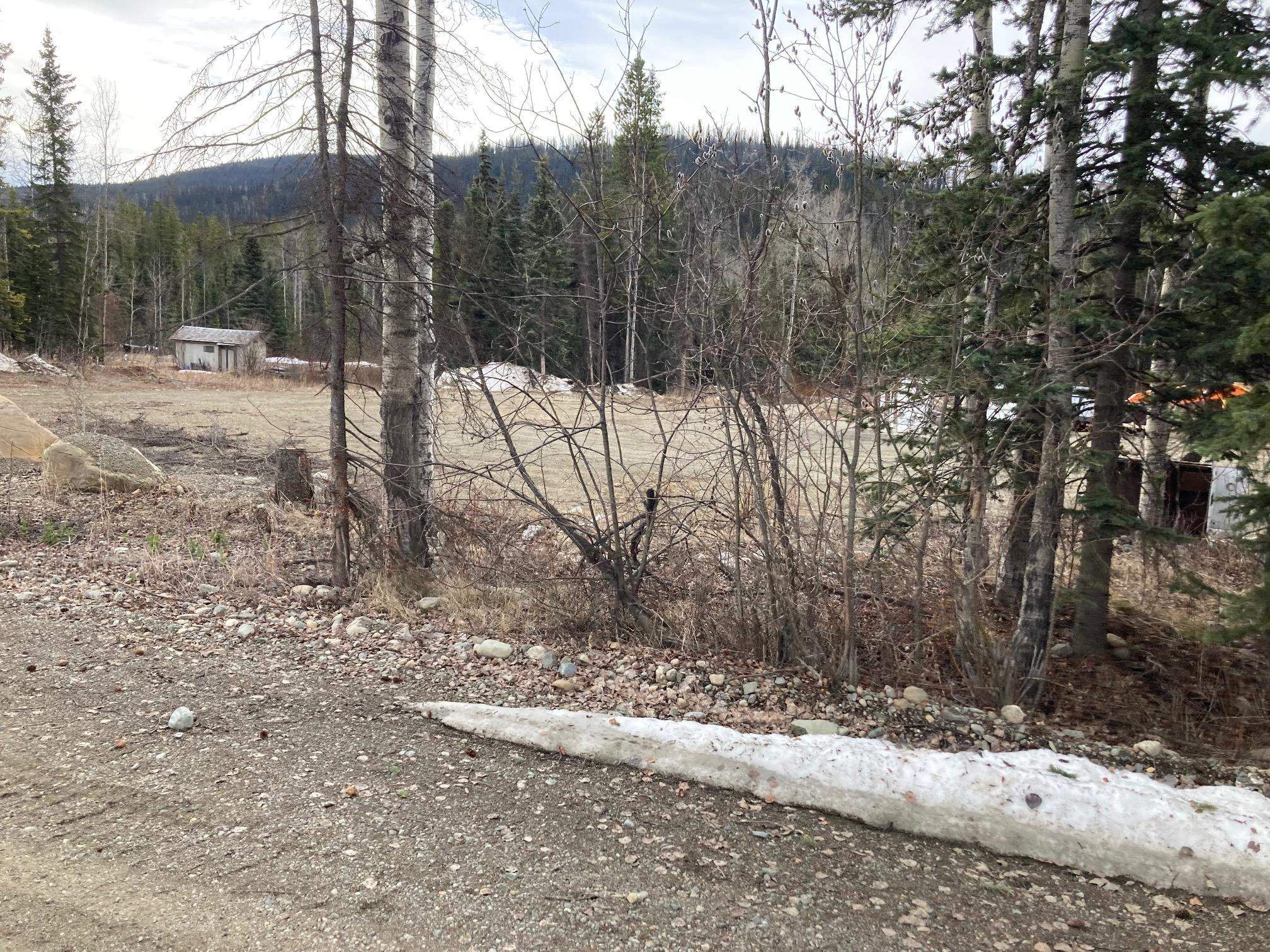 Lot for sale in Mackenzie, Mackenzie, 13063 Omineca Mining Access Road, 263050087 | Realtylink.org