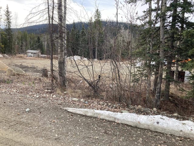 Lot for sale in Mackenzie, Mackenzie, 13063 Omineca Mining Access Road, 263050087 | Realtylink.org