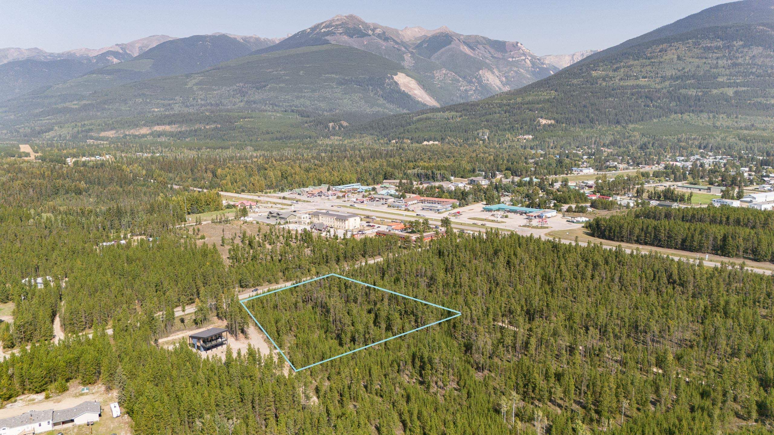 Lot for sale in Valemount, Robson Valley, 990 Cranberry Lake Road, 263050301 | Realtylink.org