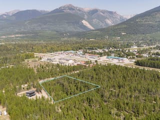 Lot for sale in Valemount, Robson Valley, 990 Cranberry Lake Road, 263050301 | Realtylink.org