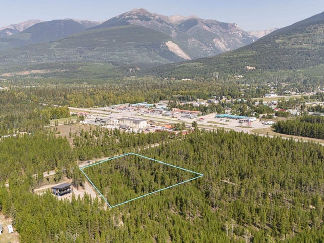 Lot for sale in Valemount, Robson Valley, 990 Cranberry Lake Road, 263050301 | Realtylink.org