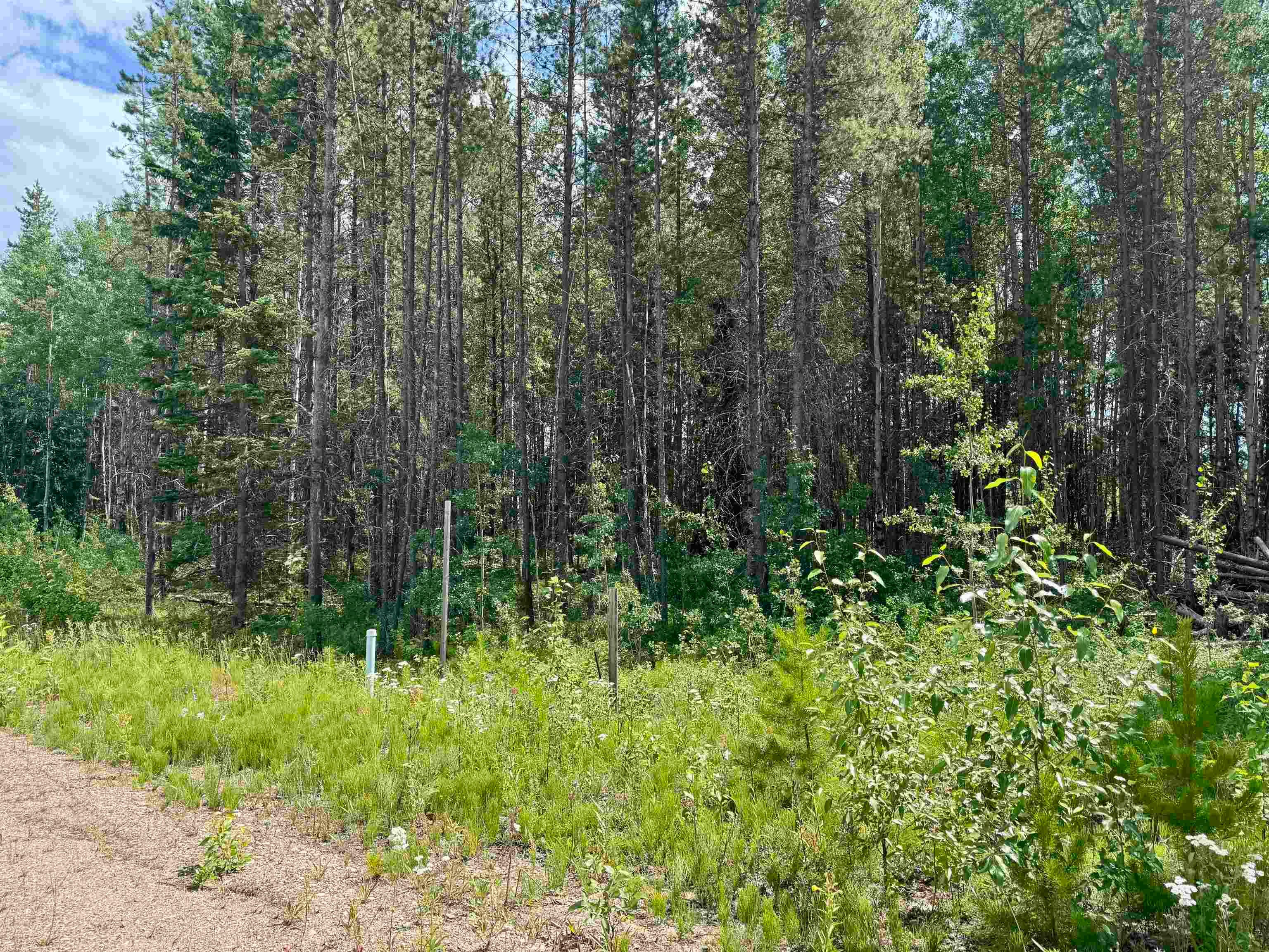 Lot for sale in Valemount, Robson Valley, 1075 18th Avenue, 263050591 | Realtylink.org