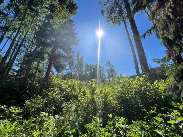 Lot for sale in Smithers, Smithers And Area, 1 3000 Dahlie Road, 263050670 | Realtylink.org