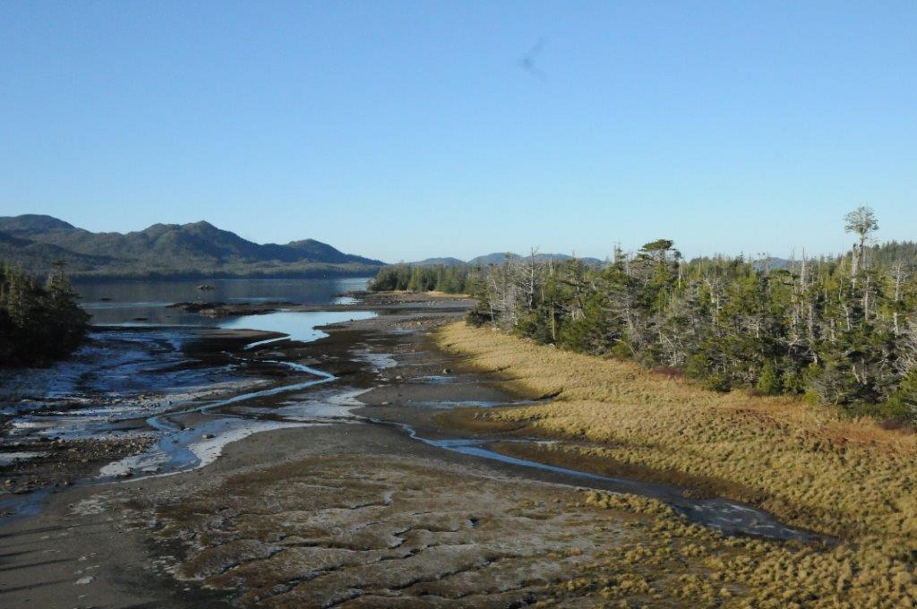 Lot for sale in Prince Rupert, Prince Rupert, Dl 88 Hanson Island, 263051681 | Realtylink.org