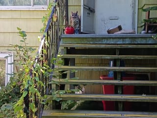 House for sale in Vancouver, Vancouver East, 1824 E 11th Avenue, 263052805 | Realtylink.org