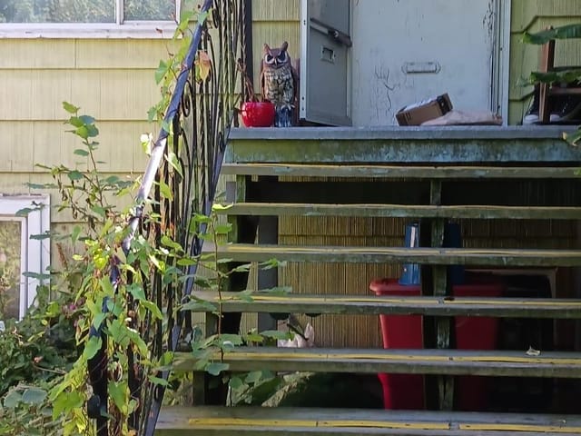 House for sale in Vancouver, Vancouver East, 1824 E 11th Avenue, 263052805 | Realtylink.org