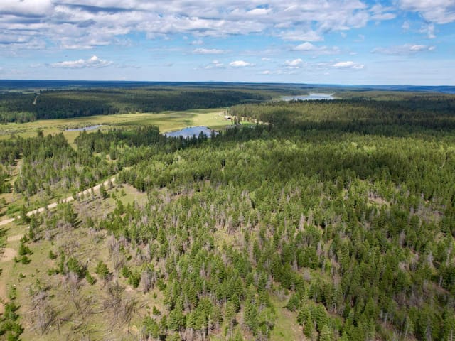 Lot for sale in 100 Mile House, 100 Mile House, 5082 Lily Pad Lake Road, 263052986 | Realtylink.org