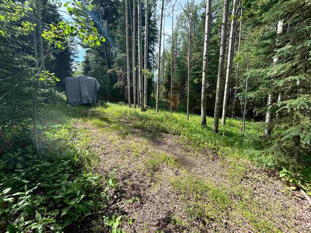 Lot for sale in Lone Butte, 100 Mile House, 7227 Kingfisher Road, 263056334 | Realtylink.org