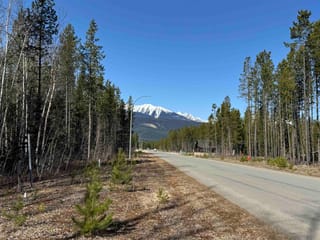 Lot for sale in Valemount, Robson Valley, 1035 18th Avenue, 263058216 | Realtylink.org