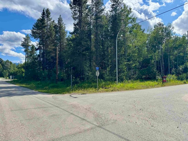Lot for sale in Valemount, Robson Valley, 1005 18th Avenue, 263058227 | Realtylink.org