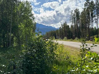 Lot for sale in Valemount, Robson Valley, 1015 18th Avenue, 263058236 | Realtylink.org