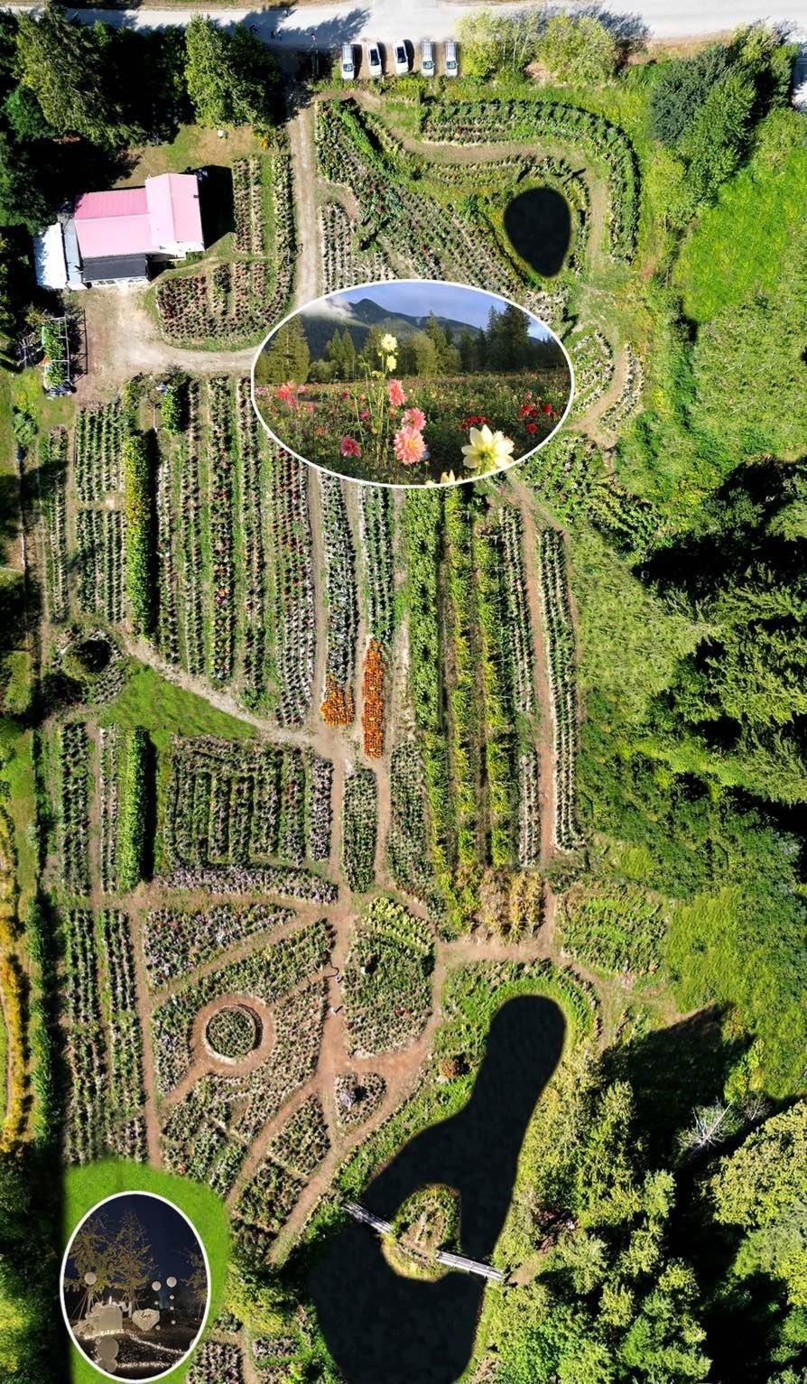 House for sale in Mission, Mission, 13842 Spratt Road, 263059410 | Realtylink.org