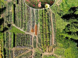 House for sale in Mission, Mission, 13842 Spratt Road, 263059410 | Realtylink.org