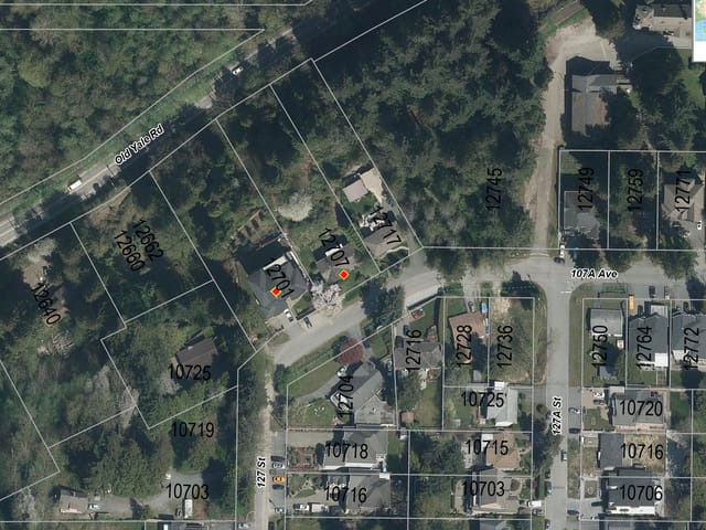 House for sale in Surrey, North Surrey, 12707 107a Avenue, 263059688 | Realtylink.org