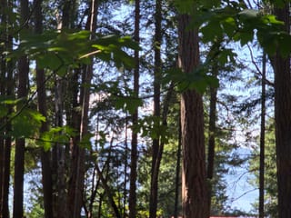 Lot for sale in Mayne Island, Islands-Van. & Gulf, 488 Letour Road, 263060926 | Realtylink.org