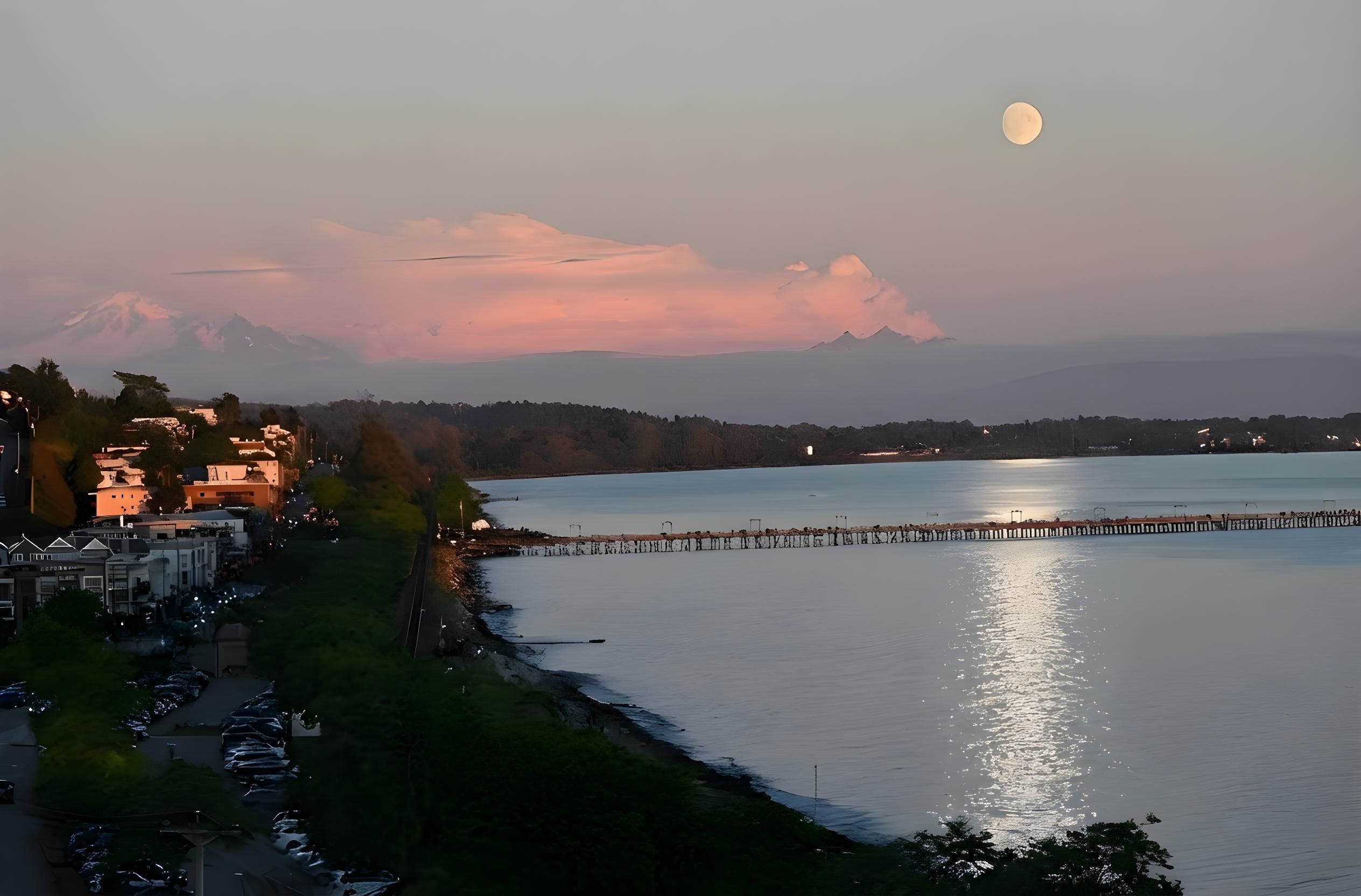 House for sale in White Rock, South Surrey White Rock, 14501 Marine Drive, 263060964 | Realtylink.org