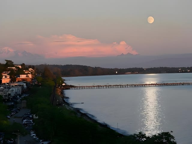 House for sale in White Rock, South Surrey White Rock, 14501 Marine Drive, 263060964 | Realtylink.org