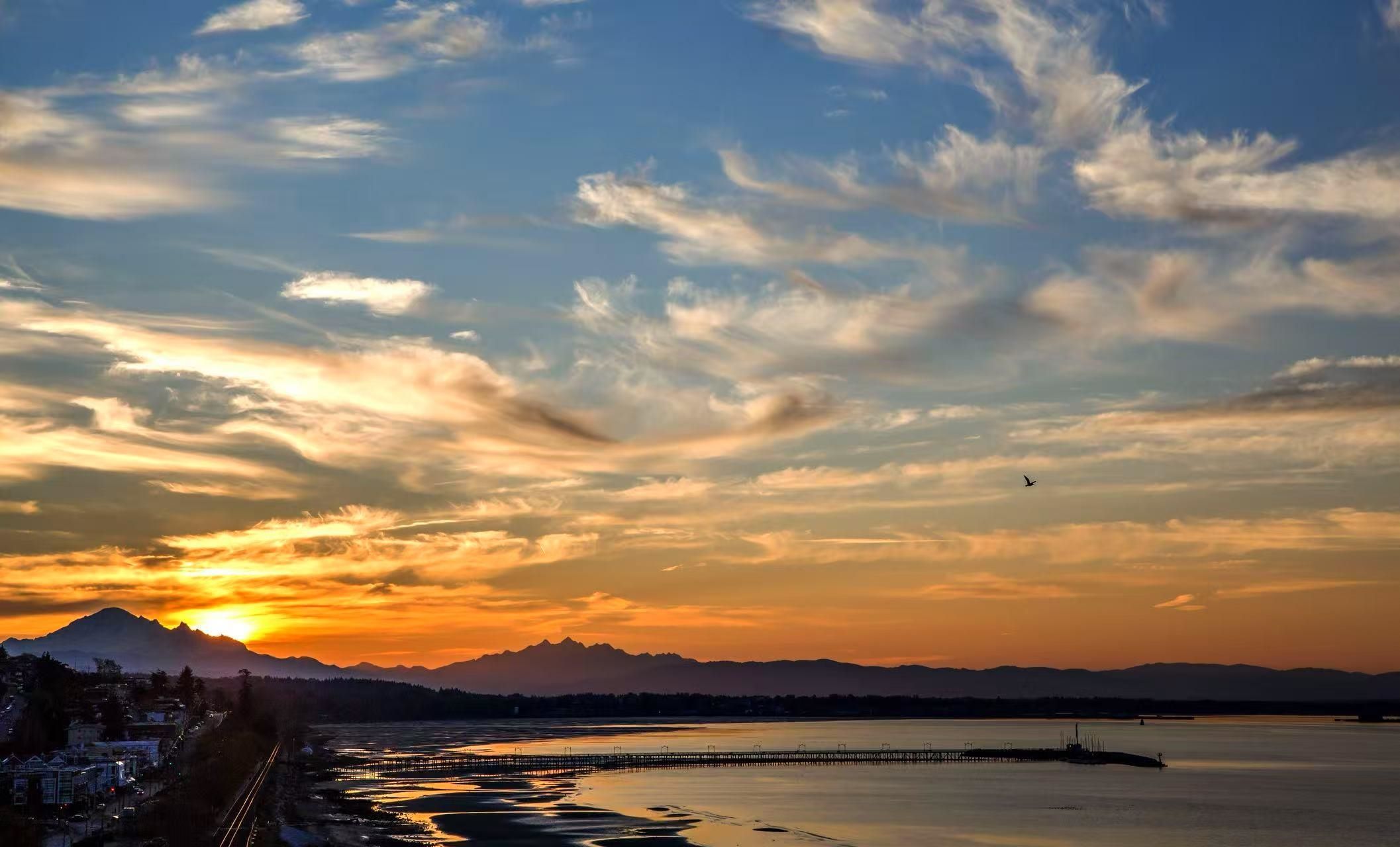 House for sale in White Rock, South Surrey White Rock, 14495 Marine Drive, 263060965 | Realtylink.org