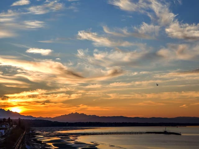 House for sale in White Rock, South Surrey White Rock, 14495 Marine Drive, 263060965 | Realtylink.org