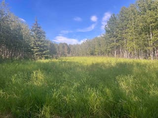 Lot for sale in Fort St. John, Fort St. John, Lot 7 253 Road, 263062386 | Realtylink.org