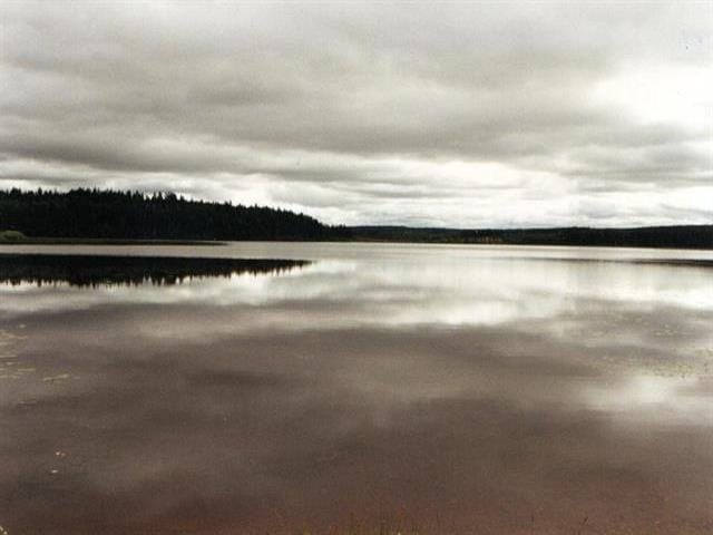 Lot for sale in Prince George, PG Rural West, LOT 16 Clarkson Road, 263063257 | Realtylink.org