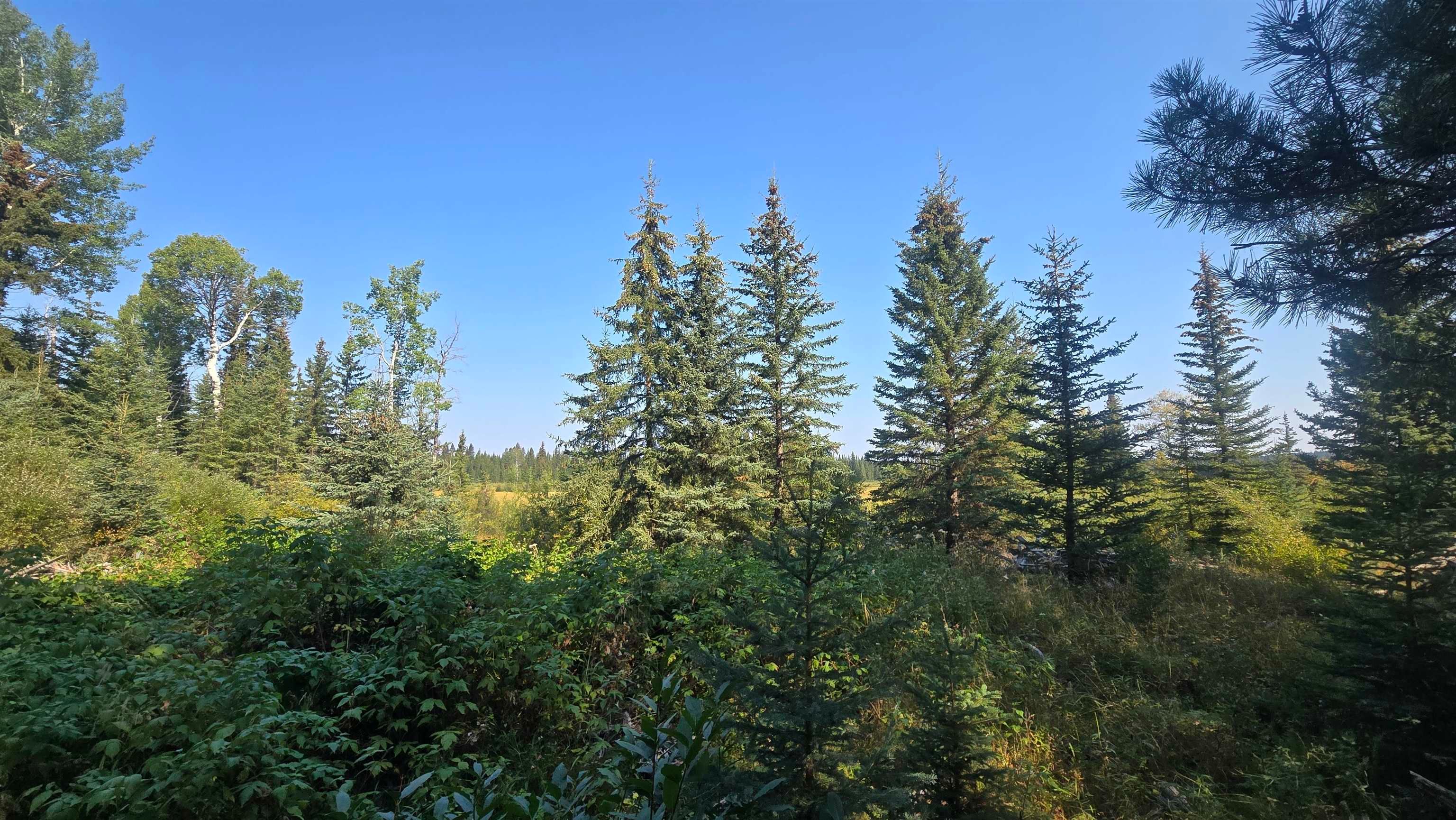 Lot for sale in 100 Mile House, 100 Mile House, Dl 2886 Horse Lake Forest Service Road, 263067000 | Realtylink.org