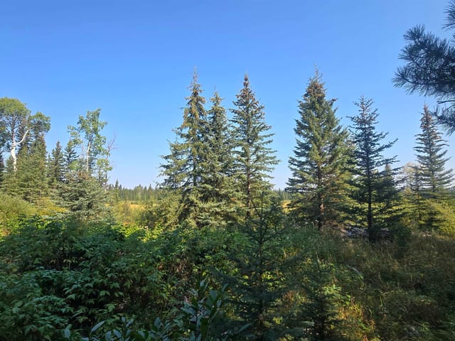 Lot for sale in 100 Mile House, 100 Mile House, Dl 2886 Horse Lake Forest Service Road, 263067000 | Realtylink.org