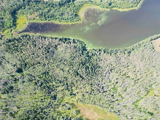 Lot for sale in Burns Lake, Burns Lake, Dl 941 Shaeffer Lake, 263067518 | Realtylink.org