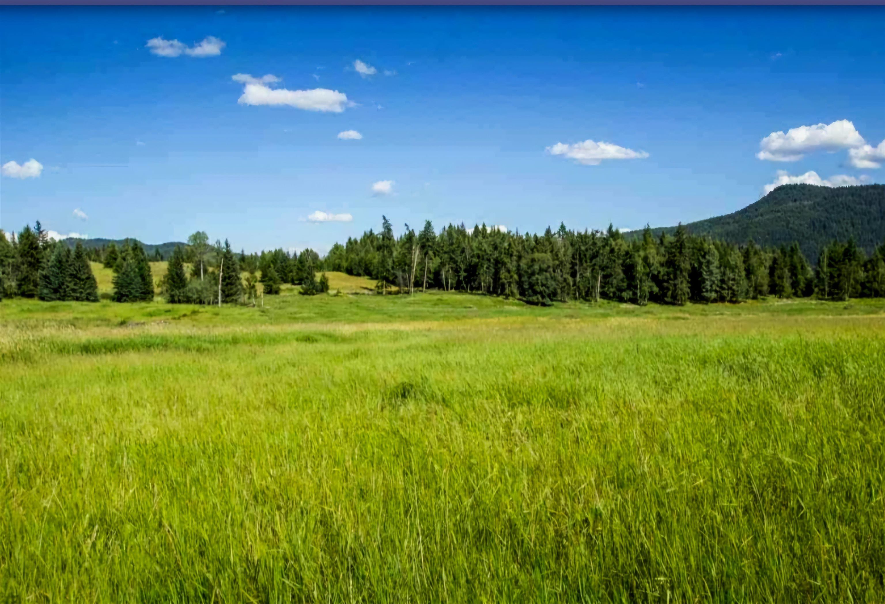 Lot for sale in Forest Grove, 100 Mile House, 3961 Canimview Drive, 263067520 | Realtylink.org