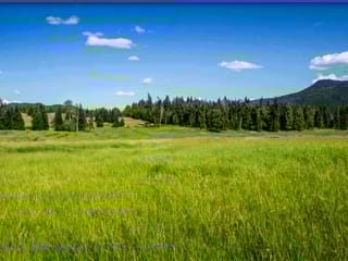 Lot for sale in Forest Grove, 100 Mile House, 3961 Canimview Drive, 263067520 | Realtylink.org