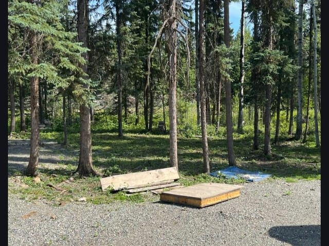 Lot for sale in Prince George, PG Rural East, 8205 Gladtidings Drive, 263067594 | Realtylink.org