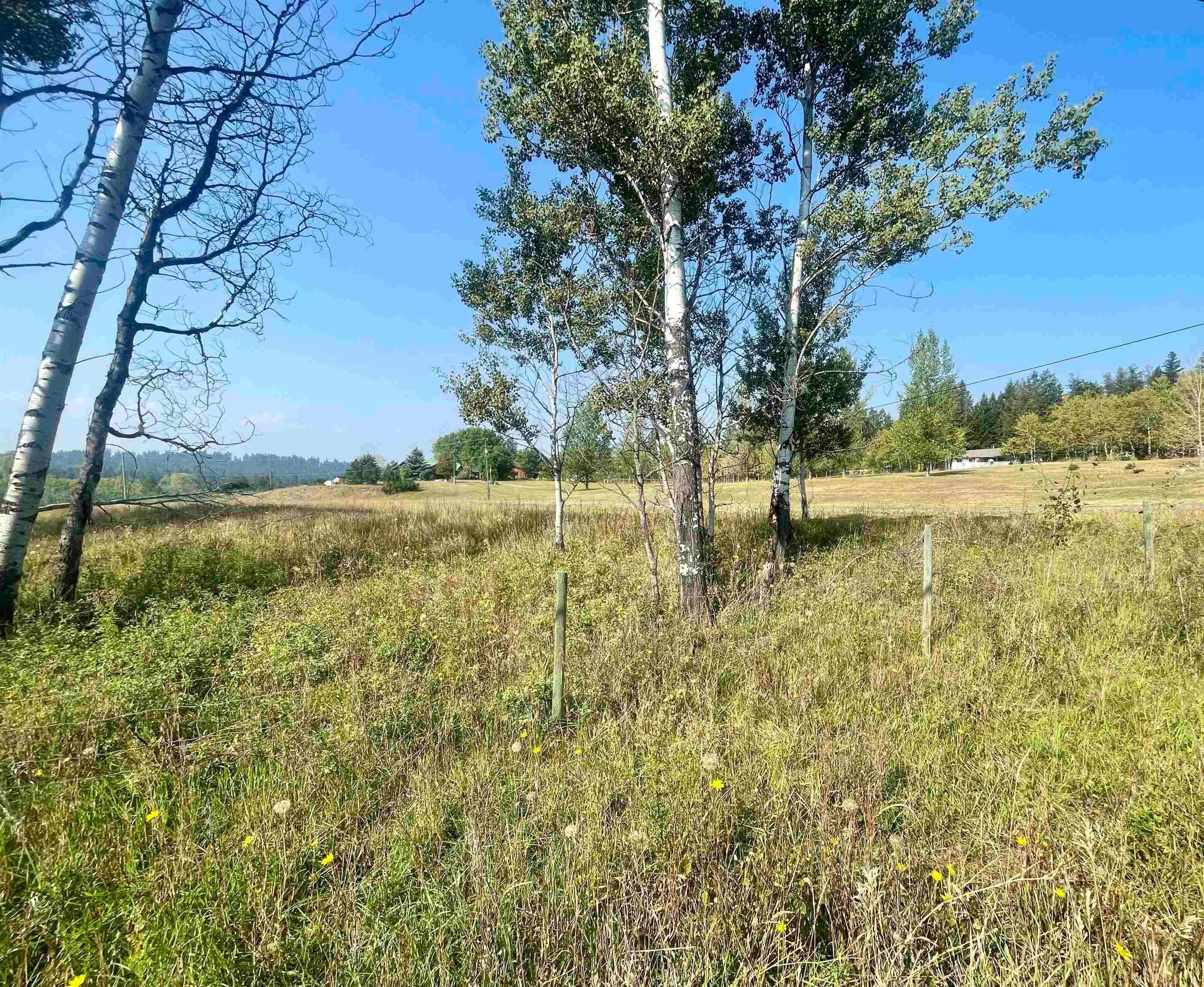Lot for sale in 108 Mile Ranch, 100 Mile House, Lot 2 Telqua Drive, 263067801 | Realtylink.org