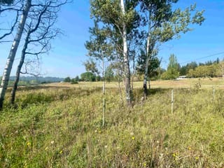 Lot for sale in 108 Mile Ranch, 100 Mile House, Lot 2 Telqua Drive, 263067801 | Realtylink.org