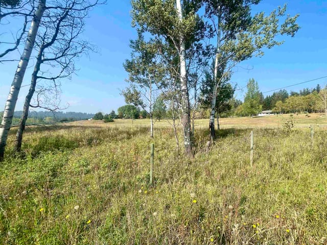 Lot for sale in 108 Mile Ranch, 100 Mile House, Lot 2 Telqua Drive, 263067801 | Realtylink.org