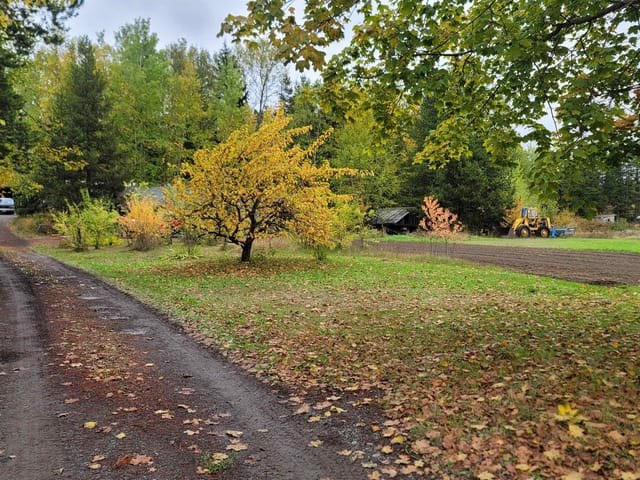 Manufactured Home for sale in Kitwanga, Hazelton & Hwy 37, 3765 Mill Road, 263068798 | Realtylink.org