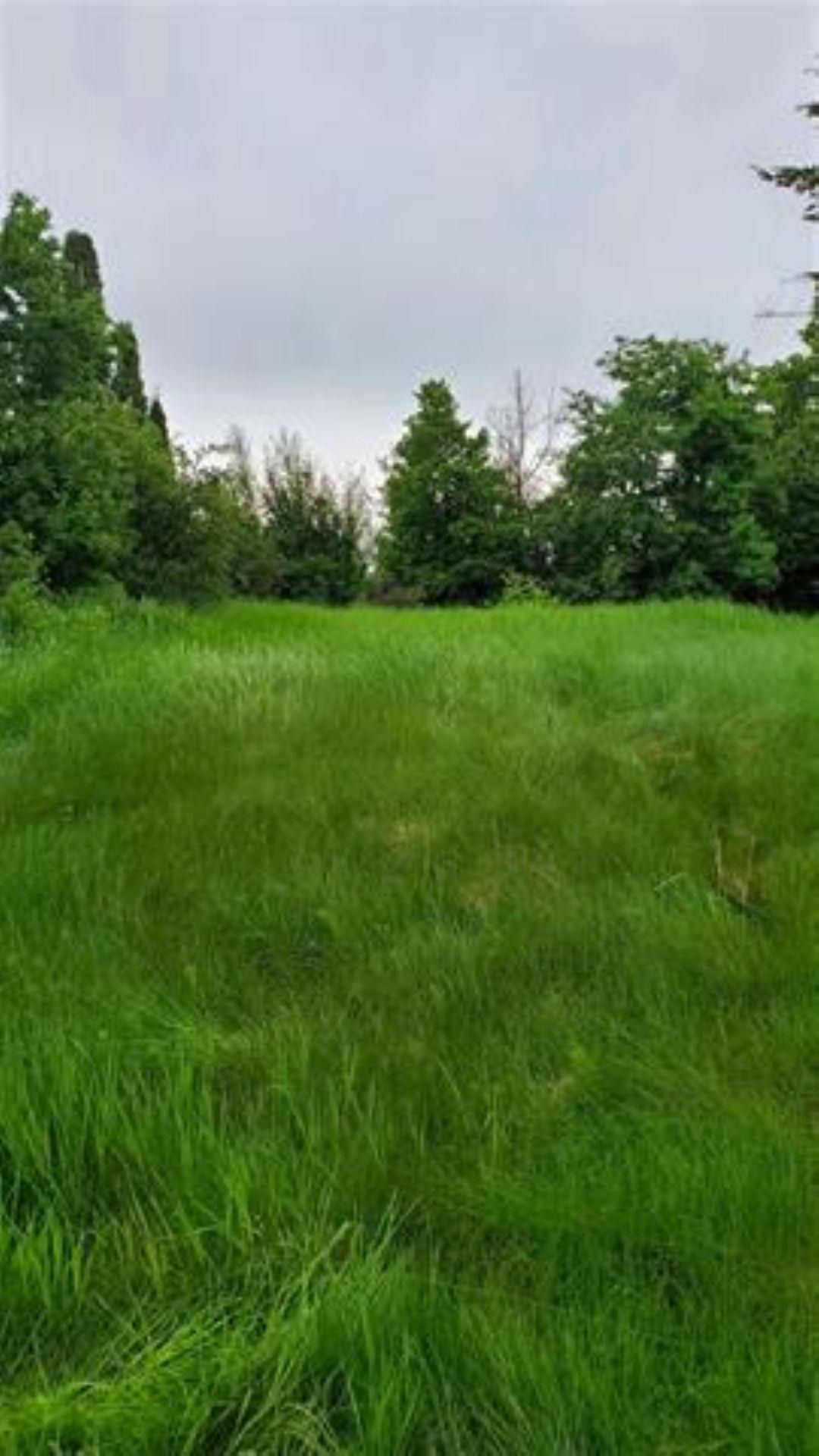 Lot for sale in Prince George, PG City Central, 2220 Tamarack Street, 263068847 | Realtylink.org